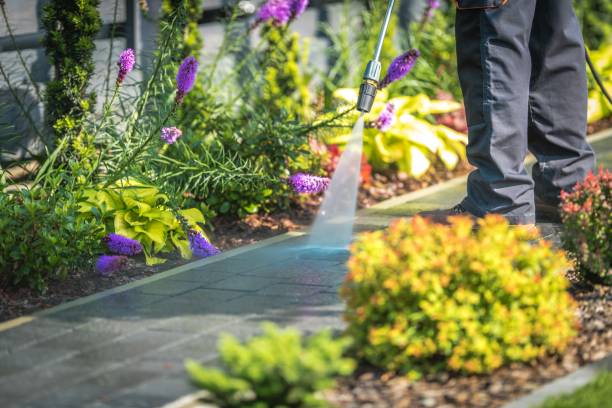 Best Gutter Cleaning  in Eastwood, LA